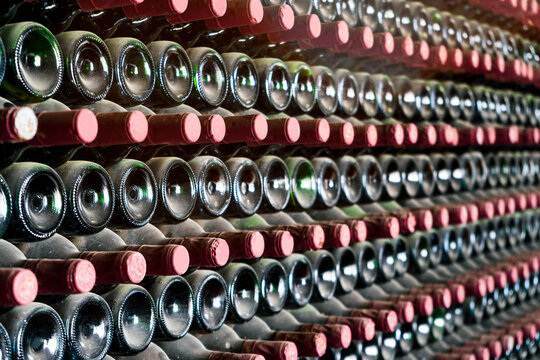 Many bottles in a row stacked on a winery shelf