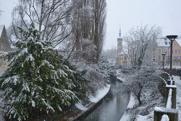 Winter am Bodenseeufer von Konstanz