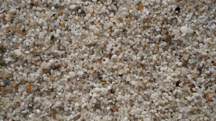 Caribbean beach sand with grains of white sand and sea wave that wets the shore