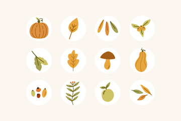 Set of autumn elements, stickers, highlights, round covers, icons. Fall cute illustrations. Vector graphics. 