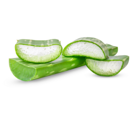 Aloe Vera isolated on transparent background. (.PNG)