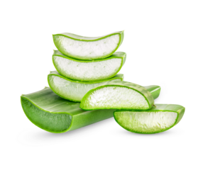 Aloe Vera isolated on transparent background. (.PNG)
