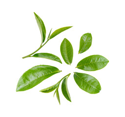 Fototapeta premium Green tea leaves isolated on transparent background. (.PNG)