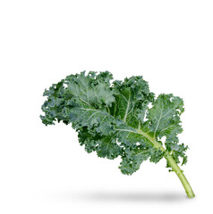 Fresh kale with water drops isolated on transparent background. (.PNG)