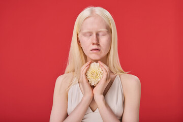 Portrait of young albino girl with natural beauty holding white flower with her eyes closed isolated on red background - obrazy, fototapety, plakaty