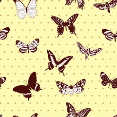 vector seamless vintage pattern with butterflies, hand drawn background