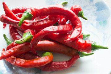 赤南蛮（とうがらし）