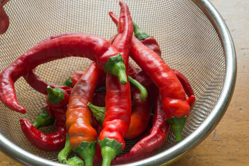 赤南蛮（とうがらし）