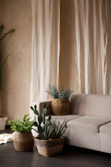 Comfortable couch in spacious living room interior with green plants, real photo with copy space on the empty wall