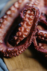Octopus