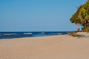 beach with palm trees