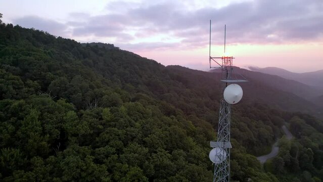 Microwave dish 2024