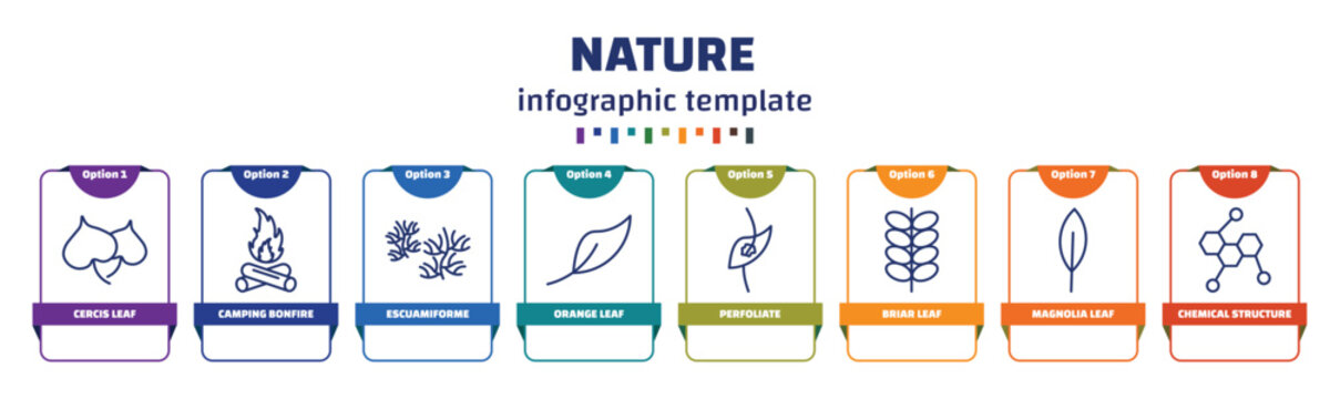 infographic template with icons and 8 options or steps. infographic for nature concept. included cercis leaf, camping bonfire, escuamiforme, orange leaf, perfoliate, briar leaf, magnolia chemical