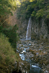 waterfall in the forest