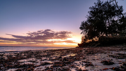 zanzibar tansania beach at sunset