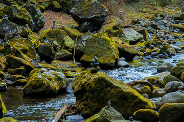 rocks in the water