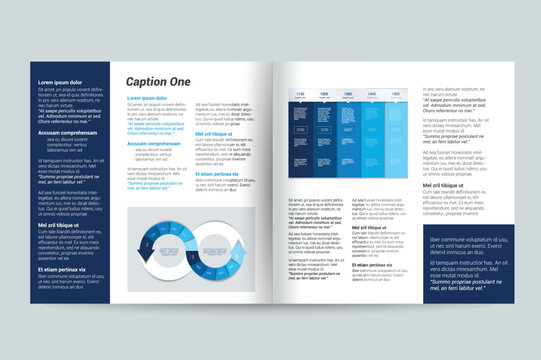 Layout, page template, brochure, text page.