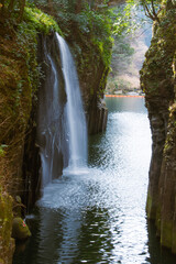 Obraz premium waterfall in the forest