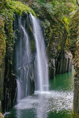 Fototapeta premium waterfall in the forest