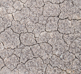 conceptual image dry cracked earth