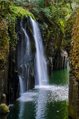 waterfall in the jungle