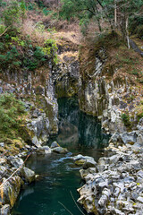 waterfall in the forest