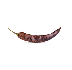 Dried red chili or chilli cayenne pepper isolated on transparent background. (.PNG)
