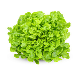 Romaine lettuce salad isolated on transparent background. (.PNG)