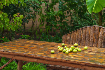 Fototapeta na wymiar Apples on a wet wooden table in the garden