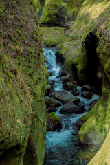 waterfall in the forest