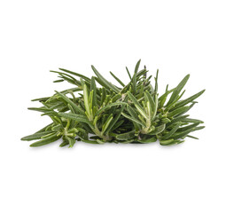 Rosemary isolated on transparent background. (.PNG)