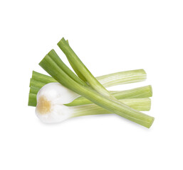 Green spring onion isolated on transparent background. (.PNG)