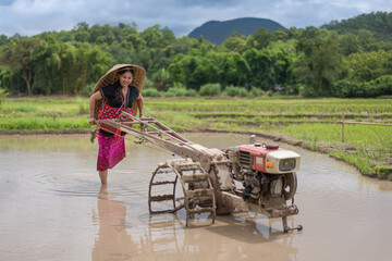 Asian farmer woman dressed in Karen minority ethnic culture uses a tractor to prepare the soil during the rice growing season with a hat is woven ancient leaves at Mae Hong Son, Thailand.