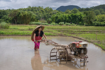 Asian farmer woman dressed in Karen minority ethnic culture uses a tractor to prepare the soil during the rice growing season with a hat is woven ancient leaves at Mae Hong Son, Thailand.