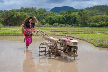 Obraz premium Asian farmer woman dressed in Karen minority ethnic culture uses a tractor to prepare the soil during the rice growing season with a hat is woven ancient leaves at Mae Hong Son, Thailand.