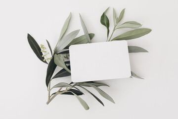 Summer Mediterranean stationery. Blank business card with round corners mock-up scene. Horizontal greeting card, green olive tree leaves, branch isolated on white table background. Flat lay, top view.