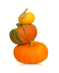 Three pumpkins isolated on white. Thanksgiving concept.