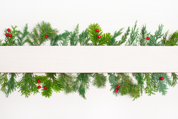 Christmas decoration banner with different  coniferous branches and copy space on white  background