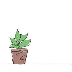 Single continuous line drawing potted plants with five growing leaves are used for ornamental plants. Plant to decorate sink so that it looks green. One line draw graphic design vector illustration.