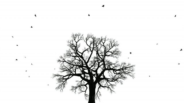 Birds flying on top of a deciduous tree, black and white
