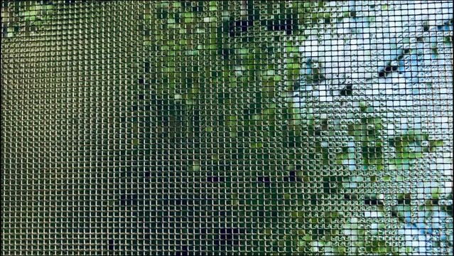 Water drops on a grid on a sunny day against the background of greenery, trees, vertical video.