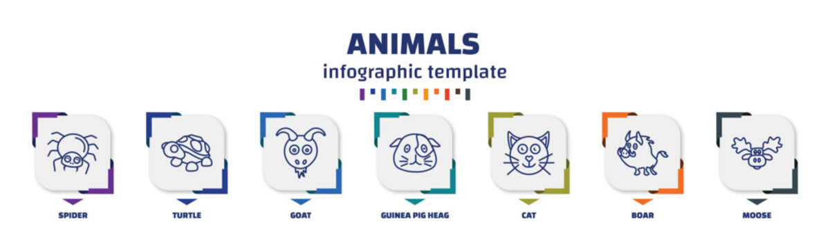infographic template with icons and 7 options or steps. infographic for animals concept. included spider, turtle, goat, guinea pig heag, cat, boar, moose icons.