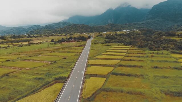 Taitung Taiwan, vast green countryside pastoral village, yellow mature rice garden and road scenes (aerial photography)
