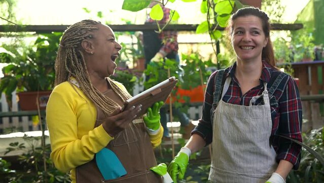 Mature multiracial women working together inside garden greenhouse	