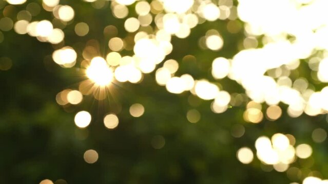 in the midst of bright nature Afternoon sunlight shining through the leaves under the big trees creates golden bokeh and starbursts. Bokeh background. Natural bokeh.4k