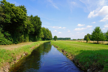 Fototapeta na wymiar Stream in the Mühlenstrang nature reserve. Nature in the conservation area near Schwerte.