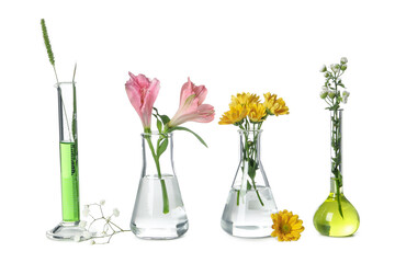 Concept of biology research, test tubes and flowers isolated on white background