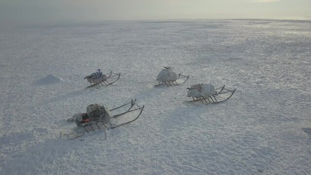 Wonderful capturing video of drone from the top of yurts in the middle of tundra in Arctic