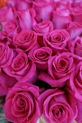 pink roses bouquet