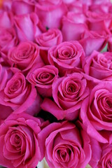 pink roses bouquet